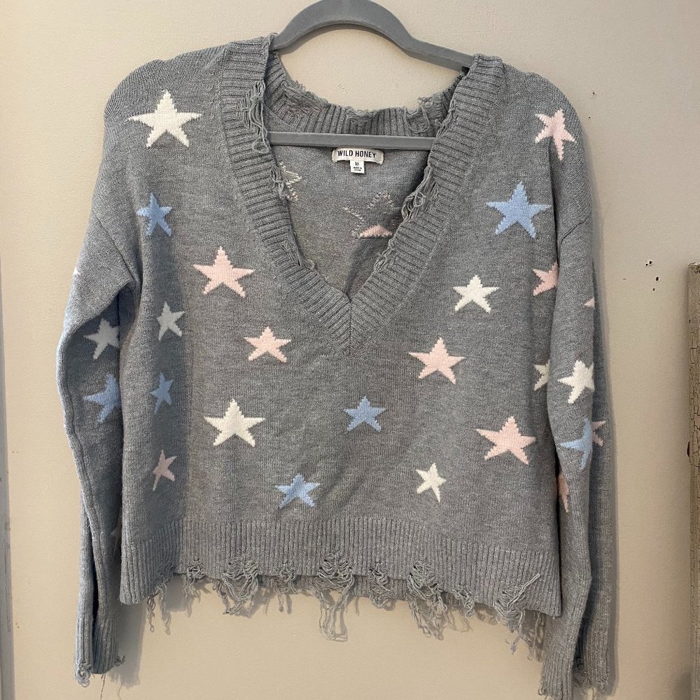 Distressed Star Sweater Crop